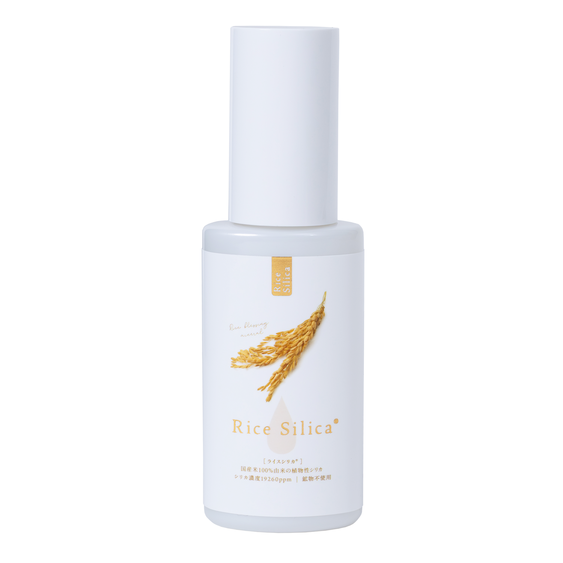 200-1.png?v=1753281432&width=1920 200-1.png?v=1753281432&width=1920