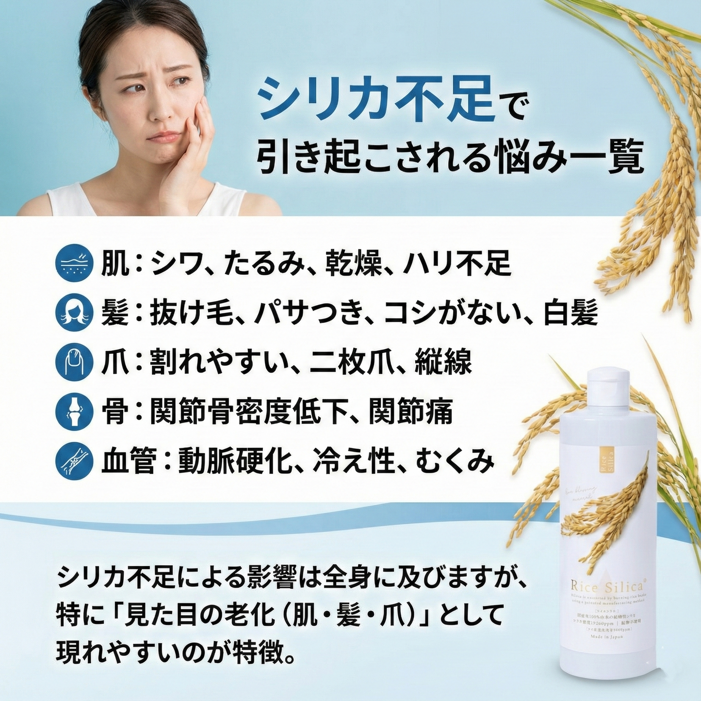 【期間限定】Rice Silica 500mL 　キャンペーン価格12,960円→6,600円　【最安値】