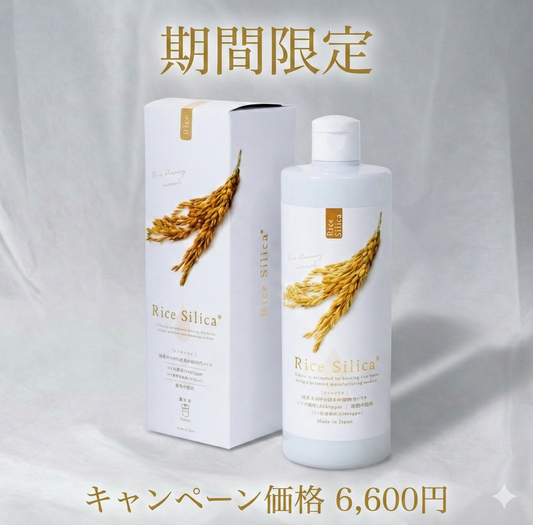 【期間限定】Rice Silica 500mL 　キャンペーン価格12,960円→6,600円