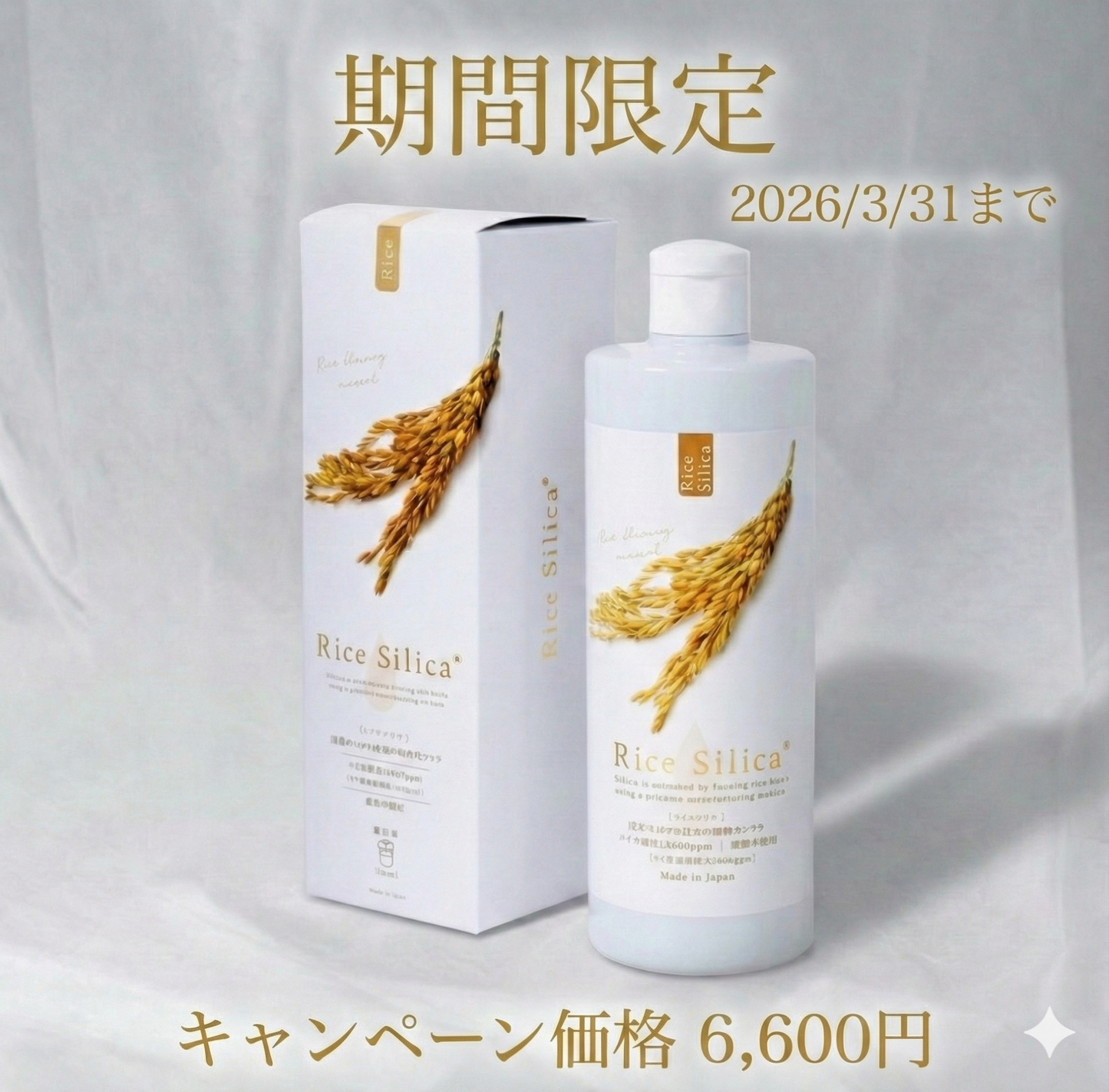 【期間限定】Rice Silica 500mL 　キャンペーン価格12,960円→6,600円　【最安値】