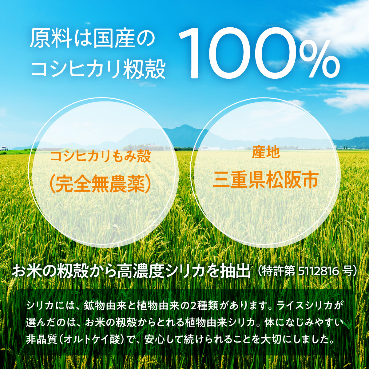 Rice Silica 50mL