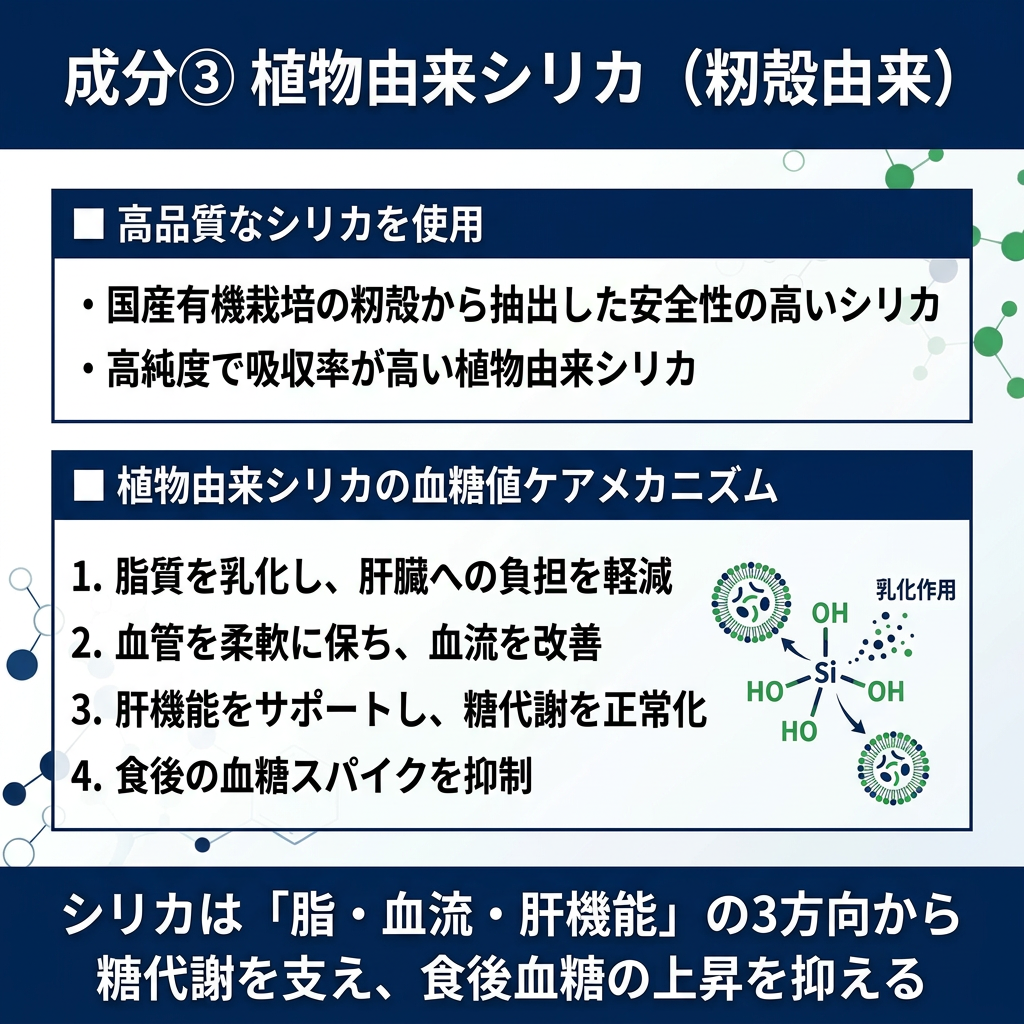 RS SERIES　田七人参de笑み