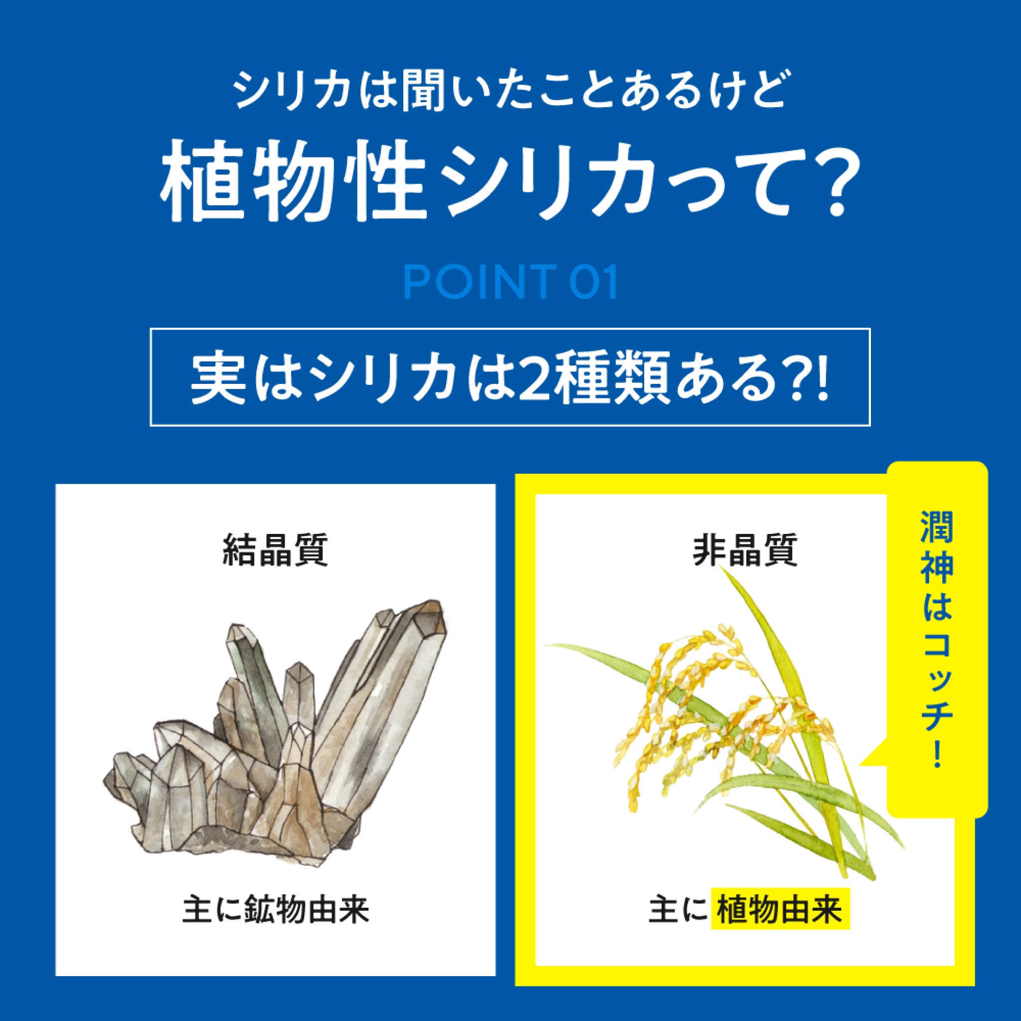 Rice silica water 潤環 500mL 48本入り シリカ濃度75ｍg/L　