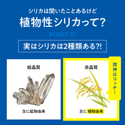 Rice silica water 潤環 500mL 48本入り シリカ濃度75ｍg/L　