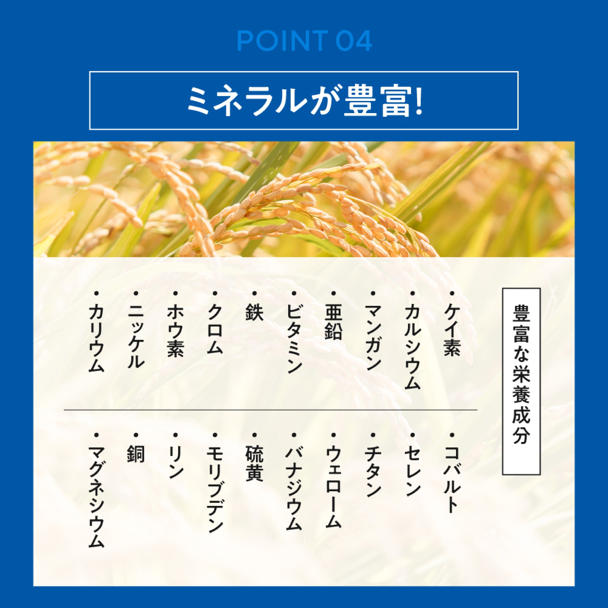 Rice silica water 潤環 500mL 48本入り シリカ濃度75ｍg/L　